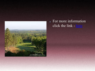 ●

For more information
click the link - here

 