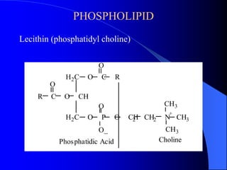 PHOSPHOLIPID 
Lecithin (phosphatidyl choline) 
O 
H2C O C R 
O 
O 
R C O CH 
CH3 
+ 
CH3 
CH3 
H2C O P O CH2 CH2 N 
O_ 
Phosphatidic Acid Choline 
 