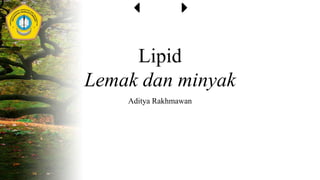Lipid
Lemak dan minyak
Aditya Rakhmawan
 