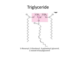 Triglyceride
 