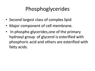 Phosphoglycerides
• Second largest class of complex lipid
• Major component of cell membrane.
• In phospho glycerides,one of the primary
hydroxyl group of glycerol is esterified with
phosphoric acid and others are esterified with
fatty acids.
 
