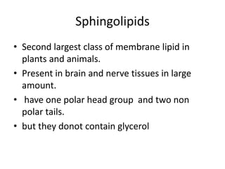 Sphingolipids
• Second largest class of membrane lipid in
plants and animals.
• Present in brain and nerve tissues in large
amount.
• have one polar head group and two non
polar tails.
• but they donot contain glycerol
 