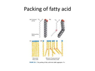 Packing of fatty acid
 