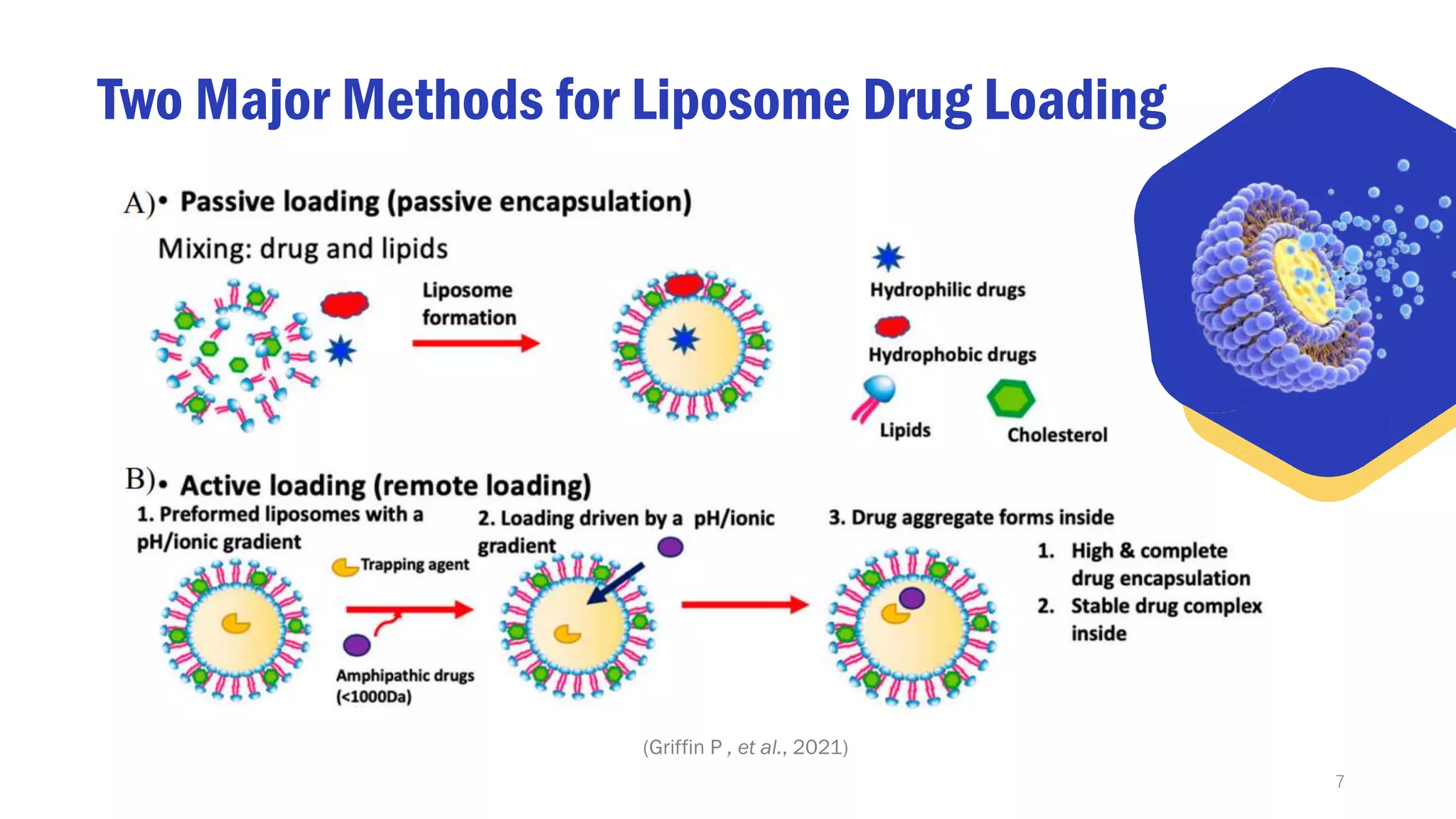 Liposomal Delivery Systems in Cancer Therapy Creative Biolabs PPT