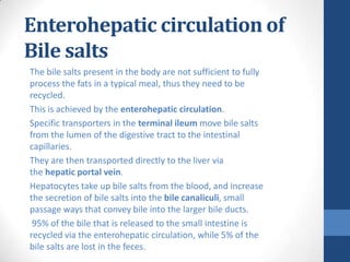 Enterohepatic circulation of
Bile salts
The bile salts present in the body are not sufficient to fully
process the fats in...