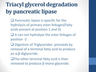 Triacyl glycerol degradation
by pancreatic lipase
  Pancreatic lipase is specific for the
 hydrolysis of primary ester li...