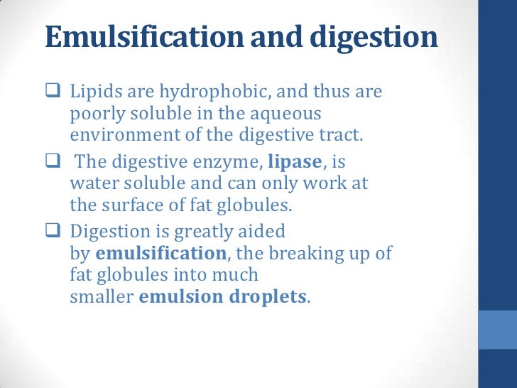 Digestion and Absorption of LIpids