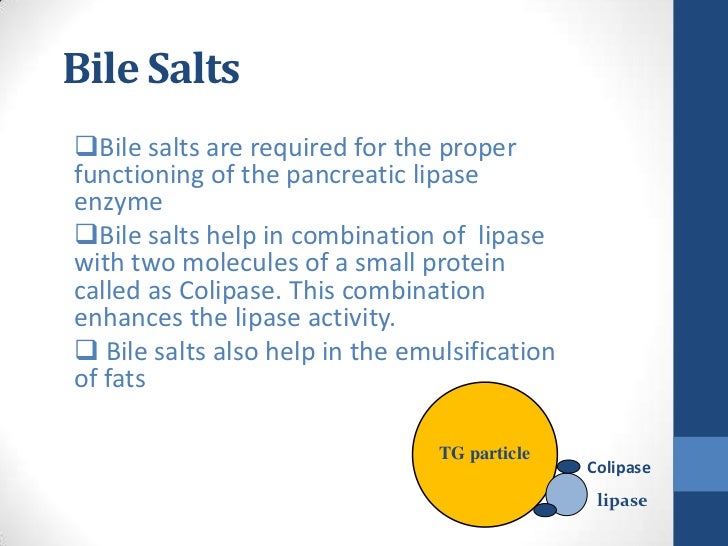 bile structure salt Absorption of Digestion LIpids and