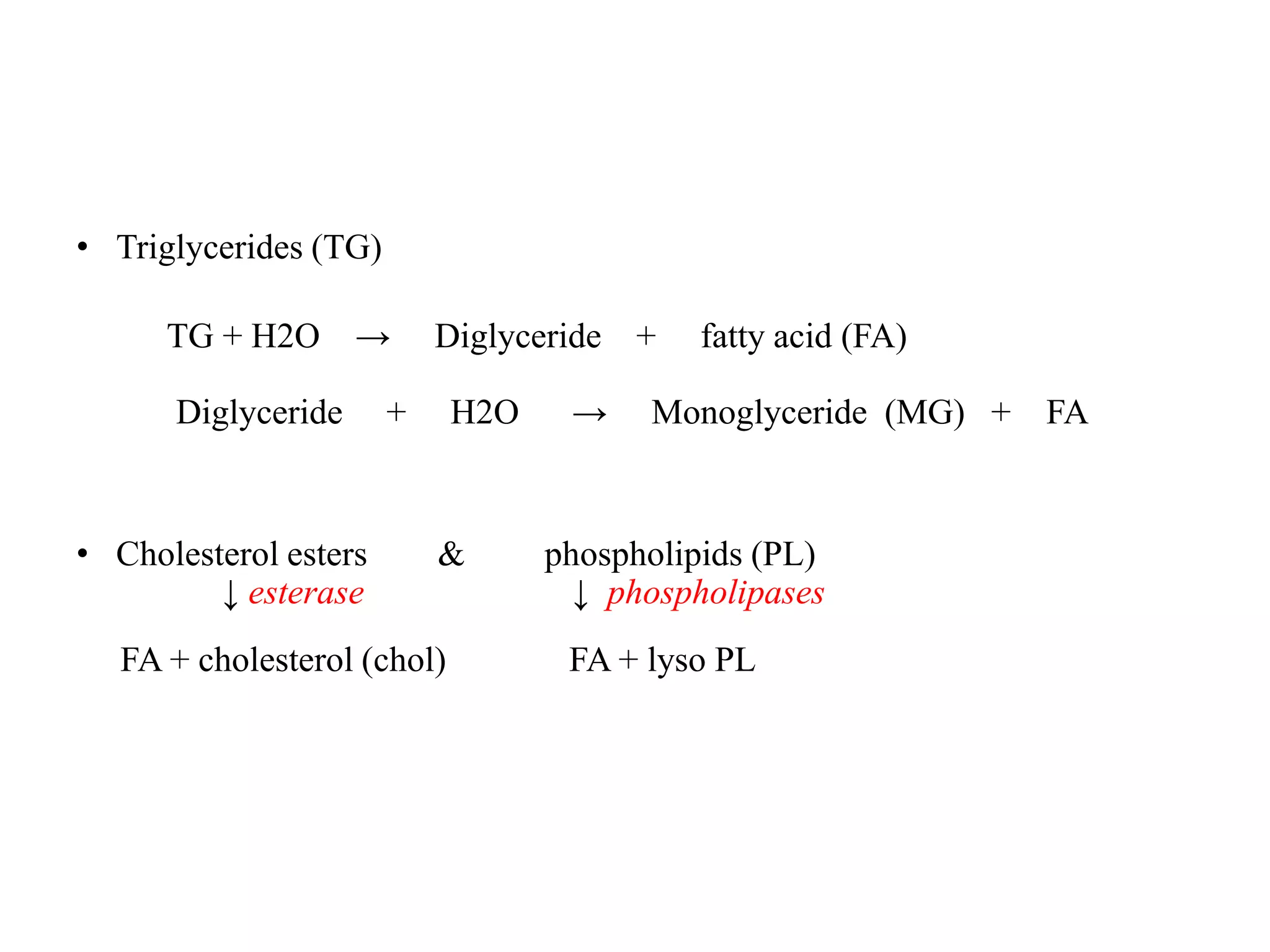 • Triglycerides (TG)
TG + H2O → Diglyceride + fatty acid (FA)
Diglyceride + H2O → Monoglyceride (MG) + FA
• Cholesterol esters & phospholipids (PL)
↓ esterase ↓ phospholipases
FA + cholesterol (chol) FA + lyso PL
 