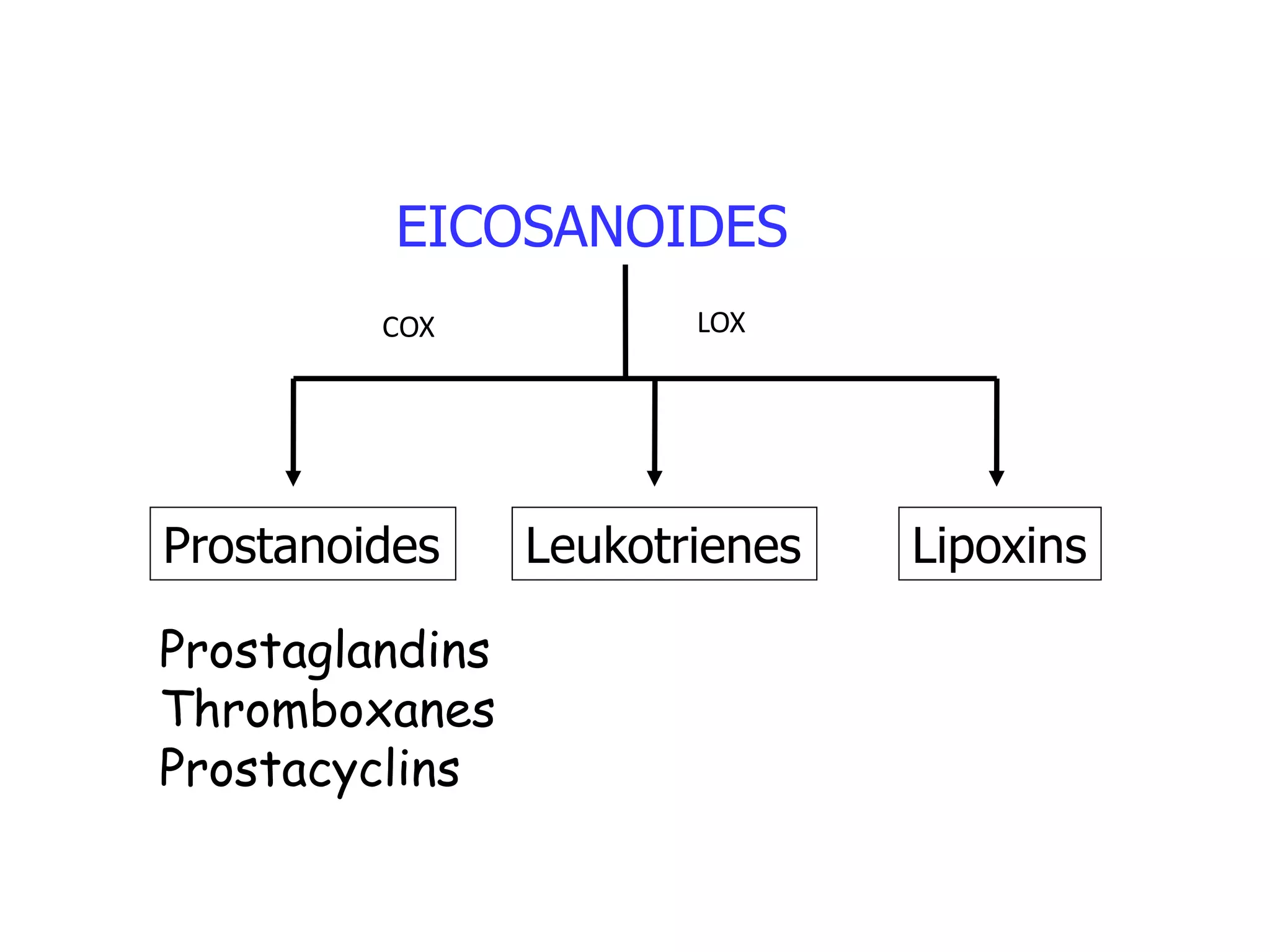 EICOSANOIDES
Prostanoides Leukotrienes
Prostaglandins
Thromboxanes
Prostacyclins
Lipoxins
COX LOX
 