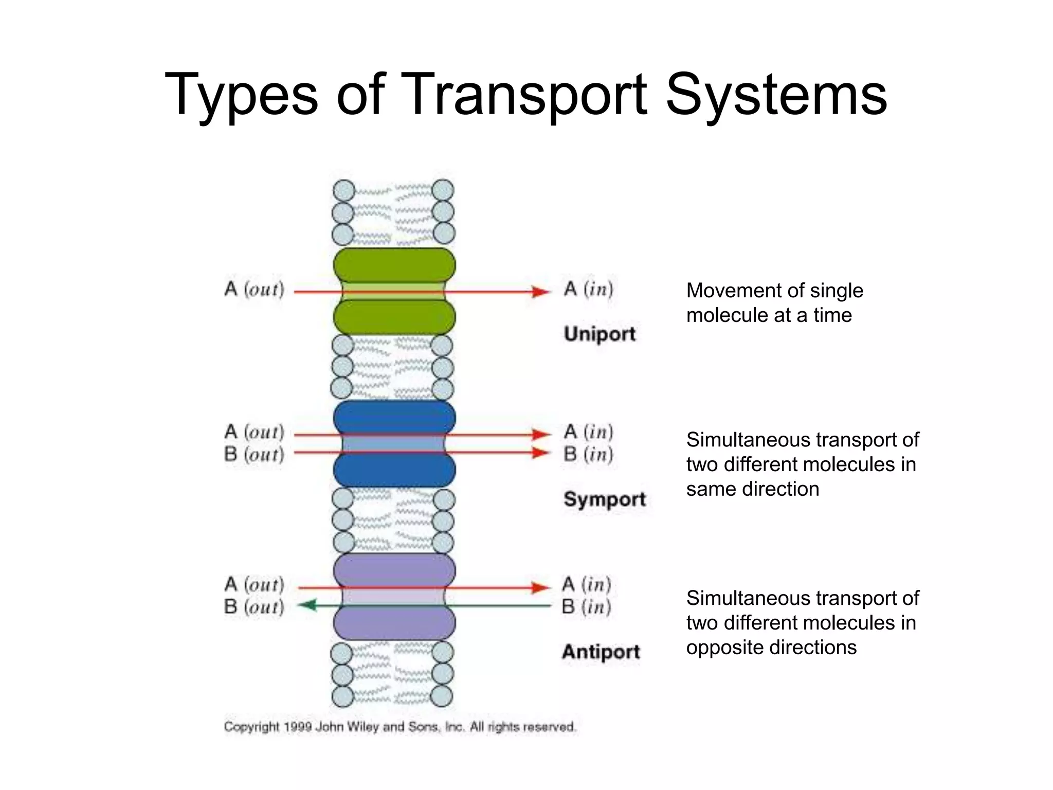 Types of Transport Systems
Movement of single
molecule at a time
Simultaneous transport of
two different molecules in
same direction
Simultaneous transport of
two different molecules in
opposite directions
 