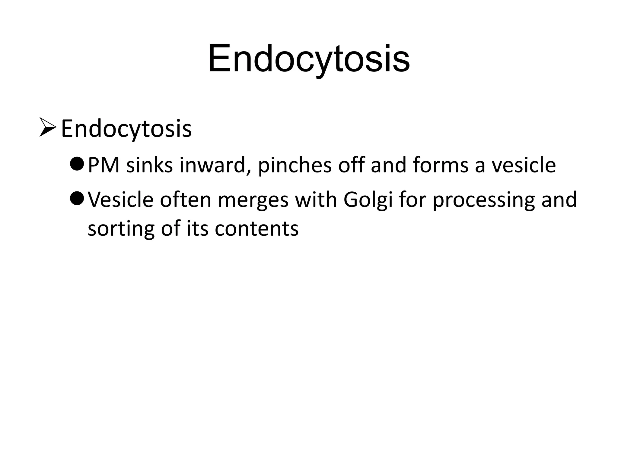 Endocytosis
Endocytosis
PM sinks inward, pinches off and forms a vesicle
Vesicle often merges with Golgi for processing and
sorting of its contents
 