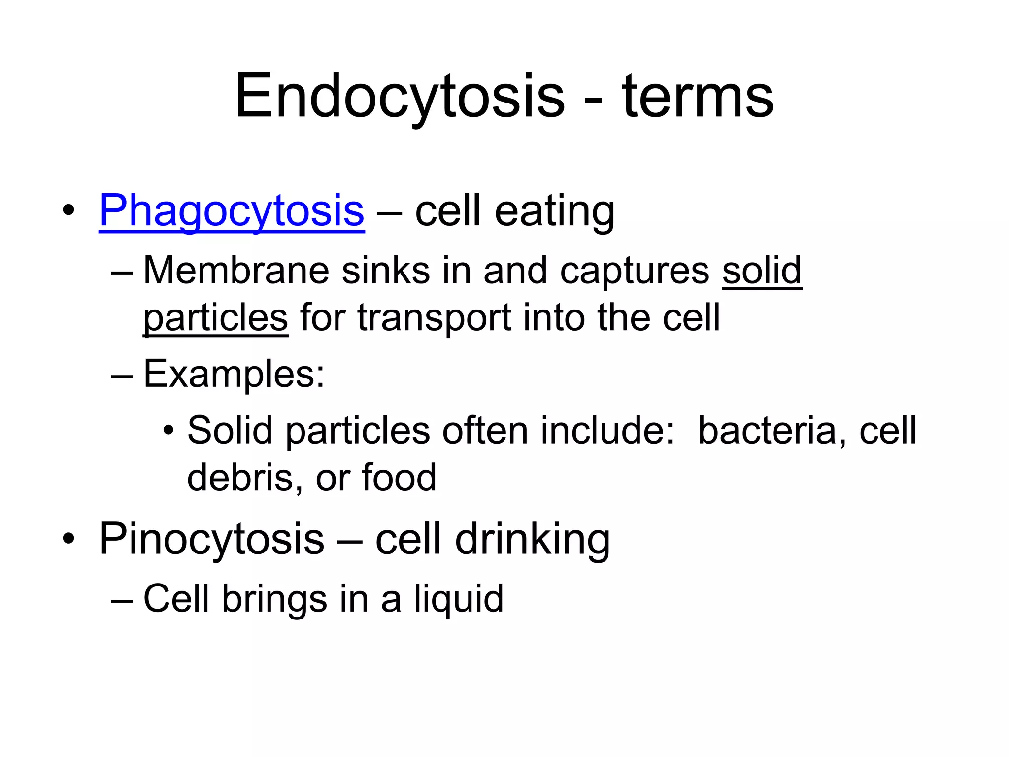 Endocytosis - terms
• Phagocytosis – cell eating
– Membrane sinks in and captures solid
particles for transport into the cell
– Examples:
• Solid particles often include: bacteria, cell
debris, or food
• Pinocytosis – cell drinking
– Cell brings in a liquid
 