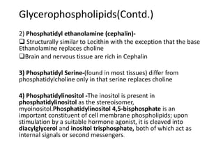 Glycerophospholipids(Contd.)
2) Phosphatidyl ethanolamine (cephalin)-
 Structurally similar to Lecithin with the exception that the base
Ethanolamine replaces choline
Brain and nervous tissue are rich in Cephalin
3) Phosphatidyl Serine-(found in most tissues) differ from
phosphatidylcholine only in that serine replaces choline
4) Phosphatidylinositol -The inositol is present in
phosphatidylinositol as the stereoisomer,
myoinositol.Phosphatidylinositol 4,5-bisphosphate is an
important constituent of cell membrane phospholipids; upon
stimulation by a suitable hormone agonist, it is cleaved into
diacylglycerol and inositol trisphosphate, both of which act as
internal signals or second messengers.
 