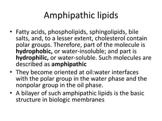 • Fatty acids, phospholipids, sphingolipids, bile
salts, and, to a lesser extent, cholesterol contain
polar groups. Therefore, part of the molecule is
hydrophobic, or water-insoluble; and part is
hydrophilic, or water-soluble. Such molecules are
described as amphipathic
• They become oriented at oil:water interfaces
with the polar group in the water phase and the
nonpolar group in the oil phase.
• A bilayer of such amphipathic lipids is the basic
structure in biologic membranes
Amphipathic lipids
 