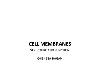 STRUCTURE AND FUNCTION
OHENEBA HAGAN
CELL MEMBRANES
 
