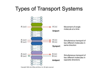Types of Transport Systems
Movement of single
molecule at a time
Simultaneous transport of
two different molecules in
same direction
Simultaneous transport of
two different molecules in
opposite directions
 