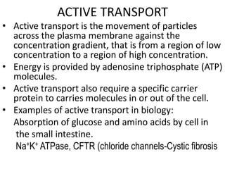 ACTIVE TRANSPORT
• Active transport is the movement of particles
across the plasma membrane against the
concentration gradient, that is from a region of low
concentration to a region of high concentration.
• Energy is provided by adenosine triphosphate (ATP)
molecules.
• Active transport also require a specific carrier
protein to carries molecules in or out of the cell.
• Examples of active transport in biology:
Absorption of glucose and amino acids by cell in
the small intestine.
Na+K+ ATPase, CFTR (chloride channels-Cystic fibrosis
 