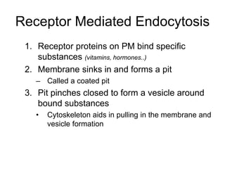 Receptor Mediated Endocytosis
1. Receptor proteins on PM bind specific
substances (vitamins, hormones..)
2. Membrane sinks in and forms a pit
– Called a coated pit
3. Pit pinches closed to form a vesicle around
bound substances
• Cytoskeleton aids in pulling in the membrane and
vesicle formation
 