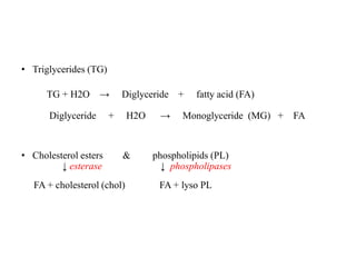 • Triglycerides (TG)
TG + H2O → Diglyceride + fatty acid (FA)
Diglyceride + H2O → Monoglyceride (MG) + FA
• Cholesterol esters & phospholipids (PL)
↓ esterase ↓ phospholipases
FA + cholesterol (chol) FA + lyso PL
 