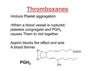 Thromboxanes
O
O
OH
COOH
•Induce Plaelet aggregation
•When a blood vessel is ruptured,
platelets congregate and PGH2
causes Them to clot together
Aspirin blocks the effect and acts
A blood thinner
PGH2
 