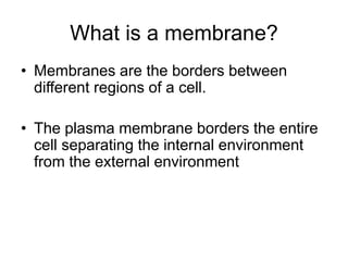 What is a membrane?
• Membranes are the borders between
different regions of a cell.
• The plasma membrane borders the entire
cell separating the internal environment
from the external environment
 