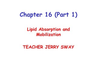 Chapter 16 (Part 1)
Lipid Absorption and
Mobilization
TEACHER JERRY SWAY
 