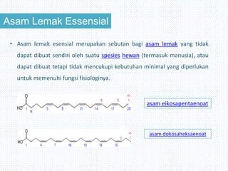 Asam Lemak Essensial
• Asam lemak esensial merupakan sebutan bagi asam lemak yang tidak
dapat dibuat sendiri oleh suatu spesies hewan (termasuk manusia), atau
dapat dibuat tetapi tidak mencukupi kebutuhan minimal yang diperlukan
untuk memenuhi fungsi fisiologinya.
asam eikosapentaenoat
asam dokosaheksaenoat
 