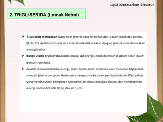 2. TRIGLISERIDA (Lemak Netral)
 Trigliserida merupakan suatu ester gliserol yang terbentuk dari 3 asam lemak dan gliserol
(R, R', R"). Apabila terdapat satu asam lemak dalam ikatan dengan gliserol maka dinamakan
monogliserida
 Fungsi utama Trigliserida adalah sebagai zat energi. Lemak disimpan di dalam tubuh dalam
bentuk trigliserida.
 Apabila sel membutuhkan energi, enzim lipase dalam sel lemak akan memecah trigliserida
menjadi gliserol dan asam lemak serta melepasnya ke dalam pembuluh darah. Oleh sel-sel
yang membutuhkan komponen-komponen tersebut kemudian dibakar dan menghasilkan
energi, karbondioksida (CO2), dan air (H2O).
.
Lipid berdasarkan Struktur
 