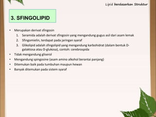 • Merupakan derivat sfingosin
1. Seramida adalah derivat sfingosin yang mengandung gugus asil dari asam lemak
2. Sfingomielin, terdapat pada jaringan syaraf
3. Glikolipid adalah sfingolipid yang mengandung karbohidrat (dalam bentuk D-
galaktosa atau D-glukosa), contoh: cerebrospida
• Tidak mengandung gliserol
• Mengandung spingosine (asam amino alkohol berantai panjang)
• Ditemukan baik pada tumbuhan maupun hewan
• Banyak ditemukan pada sistem syaraf
3. SFINGOLIPID
Lipid berdasarkan Struktur
 