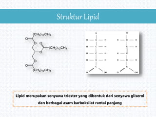 Struktur Lipid
Lipid merupakan senyawa triester yang dibentuk dari senyawa gliserol
dan berbagai asam karboksilat rantai panjang
 
