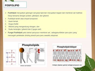  Fosfolipid merupakan golongan senyawa lipid dan merupakan bagian dari membran sel makhluk
hidup bersama dengan protein, glikolipid, dan gliserol.
 Fosfolipid terdiri atas empat komponen:
1. Asam lemak
2. Gugus fosfat
3. Alkohol yang mengandung nitrogen, dan
4. Suatu kerangka ( gliserol dan 2 gugus asil)
 Fungsi Fosfolipid yaitu bahan penyusun membran sel , sebagaisurfaktan paru-paru yang
mencegah perlekatan dinding alveoli paru-paru sewaktu ekspirasi
FOSFOLIPID
 