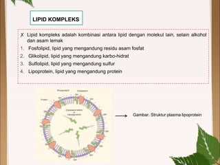 Gambar. Struktur plasma lipoprotein
LIPID KOMPLEKS
✘ Lipid kompleks adalah kombinasi antara lipid dengan molekul lain, selain alkohol
dan asam lemak
1. Fosfolipid, lipid yang mengandung residu asam fosfat
2. Glikolipid, lipid yang mengandung karbo-hidrat
3. Sulfolipid, lipid yang mengandung sulfur
4. Lipoprotein, lipid yang mengandung protein
 
