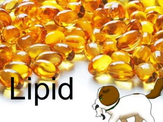 Lipid
 