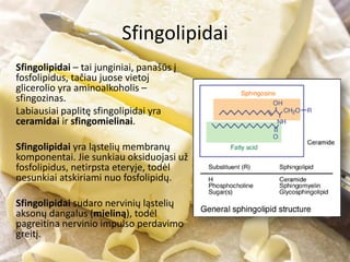 Sfingolipidai
Sfingolipidai – tai junginiai, panašūs į
fosfolipidus, tačiau juose vietoj
glicerolio yra aminoalkoholis –
sfingozinas.
Labiausiai paplitę sfingolipidai yra
ceramidai ir sfingomielinai.
Sfingolipidai yra ląstelių membranų
komponentai. Jie sunkiau oksiduojasi už
fosfolipidus, netirpsta eteryje, todėl
nesunkiai atskiriami nuo fosfolipidų.
Sfingolipidai sudaro nervinių ląstelių
aksonų dangalus (mieliną), todėl
pagreitina nervinio impulso perdavimo
greitį.
 
