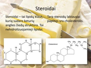 Steroidai
Steroidai – tai lipidų klasė,
kurią sudaro keturių
anglies žiedų struktūra. Tai
nehidrolizuojamieji lipidai.
Tarp steroidų labiausiai
paplitęs yra cholesterolis.
 