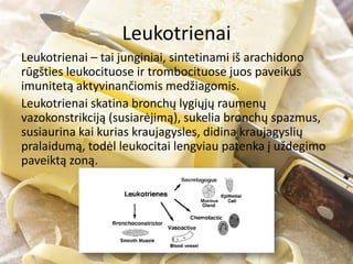 Leukotrienai
Leukotrienai – tai junginiai, sintetinami iš arachidono
rūgšties leukocituose ir trombocituose juos paveikus
imunitetą aktyvinančiomis medžiagomis.
Leukotrienai skatina bronchų lygiųjų raumenų
vazokonstrikciją (susiarėjimą), sukelia bronchų spazmus,
susiaurina kai kurias kraujagysles, didina kraujagyslių
pralaidumą, todėl leukocitai lengviau patenka į uždegimo
paveiktą zoną.
 