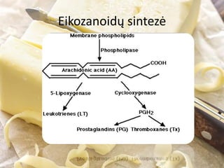 Eikozanoidų sintezė
 