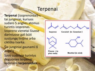 Terpenai
Terpenai (izoprenoidai) –
tai junginiai, kuriuos
sudaro 5 anglies atomus
turintis izoprenas.
Izopreno vienetai šiuose
dariniuose gali būti
susijungę linijine arba
cikliška tvarka.
Šie junginiai gaunami iš
augalų
Savo sudėtyje turintys
deguonies terpenai
vadinami terpenoidais.
 