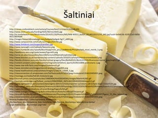 Šaltiniai
http://classes.midlandstech.com/carterp/Courses/bio211/chap23/ݺߣ49.JPG
http://www.chem.ucla.edu/harding/IGOC/M/micelle01.jpg
http://ei.marketwatch.com/Multimedia/2014/01/20/Photos/MG/MW-BS913_butter_20140120151235_MG.jpg?uuid=3e0d618c-820f-11e3-9d50-
00212803fad6
http://images.flatworldknowledge.com/ballgob/ballgob-fig17_x009.jpg
http://www.campuscircle.com/Culture/images/025705.jpg
http://www.thelabrat.com/images/transfat1.jpg
http://www.nanosight.com/uploads/liposome.png
http://users.humboldt.edu/rpaselk/BiochSupp/note_pics/LipidMemb/Phospholipid_micel_memb_5.png
http://lipidlibrary.aocs.org/Lipids/waxes/Figure02.png
http://www.uic.edu/classes/bios/bios100/lecturesf04am/phospholipid.jpg
http://www.biocolor.co.uk/wordpress/wp-content/uploads/2010/01/phosphomembranewebedit2.png
http://faculty.clintoncc.suny.edu/faculty/michael.gregory/files/Bio%20101/Bio%20101%20Lectures/membranes/img017.gif
http://content.answers.com/main/content/img/oxford/Oxford_Sports/0199210896.androstane.1.jpg
http://www.raw-milk-facts.com/images/Cholesterol2.gif
http://www.steroidal.com/images/steroid-profiles/image004.png
http://www.healthcentral.com/common/images/1/19279_13509_5.jpg
http://classconnection.s3.amazonaws.com/54/flashcards/475054/jpeg/cholesterol1354010305005.jpeg
http://momega.vn/media/hdl-ldl-cholesterol.jpg
http://journals.prous.com/journals/dot/19983404/html/dt340341/images/Martin%20f1.gif
http://journals.cambridge.org/fulltext_content/ERM/ERM4_28/S146239940200546Xsup012.gif
http://www.sigmaaldrich.com/content/dam/sigma-aldrich/articles/reporter-us/volume-29-5/lipid-maps-consortium.jpg
http://apbrwww5.apsu.edu/thompsonj/Anatomy%20&%20Physiology/2020/2020%20Exam%20Reviews/Exam%202/prostaglandin.gif
http://users.rcn.com/jkimball.ma.ultranet/BiologyPages/A/AA.gif
http://www.biologie.uni-hamburg.de/b-online/library/knee/hcs300/gif/Terpene.gif
http://droualb.faculty.mjc.edu/Course%20Materials/Physiology%20101/Chapter%20Notes/Fall%202007/figure_15_06a_labeled.jpg
http://classconnection.s3.amazonaws.com/54/flashcards/475054/jpeg/cholesterol1354010305005.jpeg
Antanas Praškevičius , Laima Ivanovienė, Biochemija
Zita Naučienė, Vida Mildažienė, Dalė Vieželienė, Rasa Žūkienė, Biochemijos laboratoriniai darbai
Jurgis Kadziauskas, Biochemijos pagrindai
 