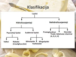 Klasifikacija
 