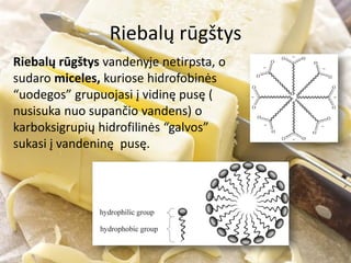 Riebalų rūgštys
Riebalų rūgštys vandenyje netirpsta, o
sudaro miceles, kuriose hidrofobinės
“uodegos” grupuojasi į vidinę pusę (
nusisuka nuo supančio vandens) o
karboksigrupių hidrofilinės “galvos”
sukasi į vandeninę pusę.
 