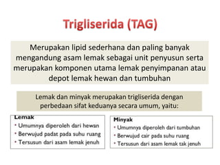Merupakan lipid sederhana dan paling banyak
mengandung asam lemak sebagai unit penyusun serta
merupakan komponen utama lemak penyimpanan atau
depot lemak hewan dan tumbuhan
Lemak dan minyak merupakan trigliserida dengan
perbedaan sifat keduanya secara umum, yaitu:
 