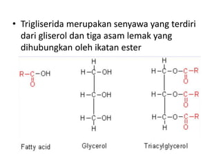 • Trigliserida merupakan senyawa yang terdiri
dari gliserol dan tiga asam lemak yang
dihubungkan oleh ikatan ester
 