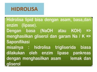 HIDROLISA
 