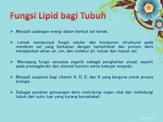  Menjadi cadangan energi dalam bentuk sel lemak.
 Lemak mempunyai fungsi seluler dan komponen struktural pada
membran sel yang berkaitan dengan karbohidrat dan protein demi
menjalankan aliran air, ion, dan molekul air, keluar dan masuk sel.
 Menopang fungsi senyawa organik sebagai penghantar sinyal, seperti
pada prostaglandin dan steroid hormon serta kelenjar empedu.
 Menjadi suspensi bagi vitamin A, D, E, dan K yang berguna untuk proses
biologis.
 Sebagai penahan goncangan demi melindungi organ vital dan melindungi
tubuh dari suhu luar yang kurang bersahabat.
 