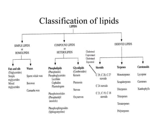 Classification of lipids
 