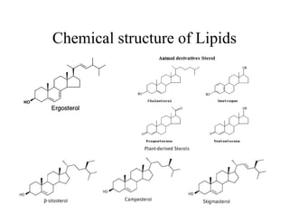 Chemical structure of Lipids
 