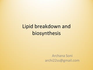 Lipid breakdown and
biosynthesis
Archana Soni
archi22ss@gmail.com
 