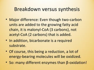 Breakdown versus synthesis
• Major difference: Even though two-carbon
units are added to the growing fatty acid
chain, it is malonyl-CoA (3 carbons), not
acetyl-CoA (2 carbons) that is added.
• In addition, bicarbonate is a required
substrate.
• Of course, this being a reduction, a lot of
energy-bearing molecules will be oxidized.
• So: many different enzymes than β-oxidation!
 